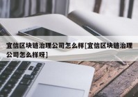 宜信区块链治理公司怎么样[宜信区块链治理公司怎么样呀]